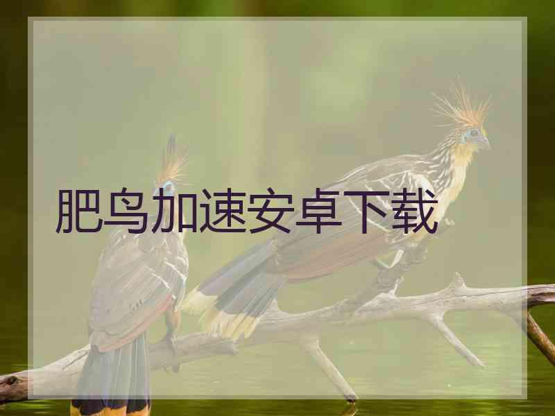 肥鸟加速安卓下载